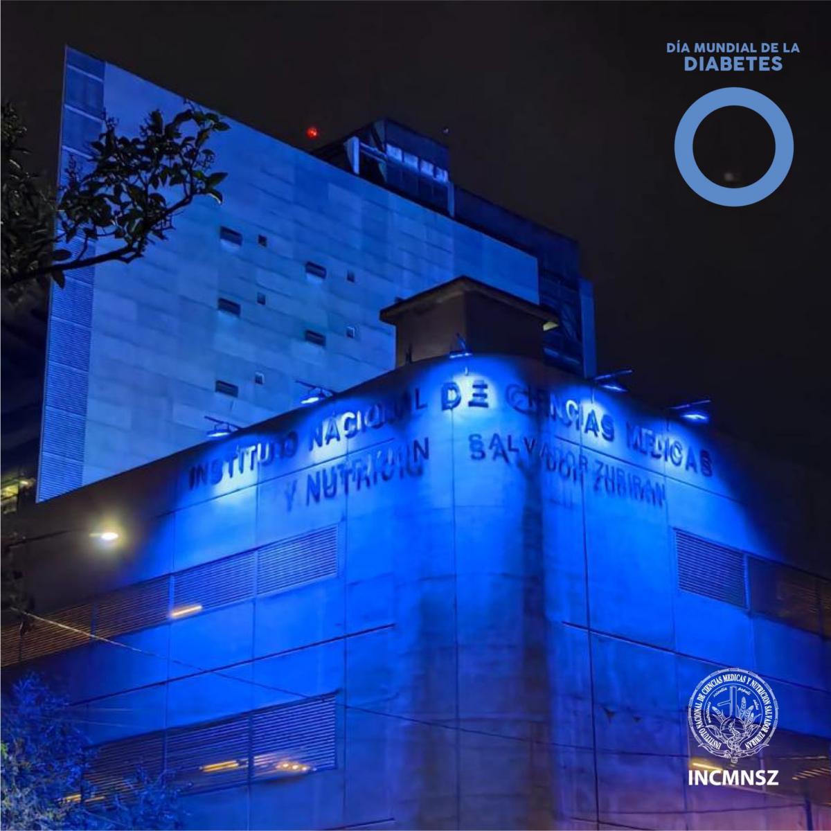 Blue Illuminated Institute